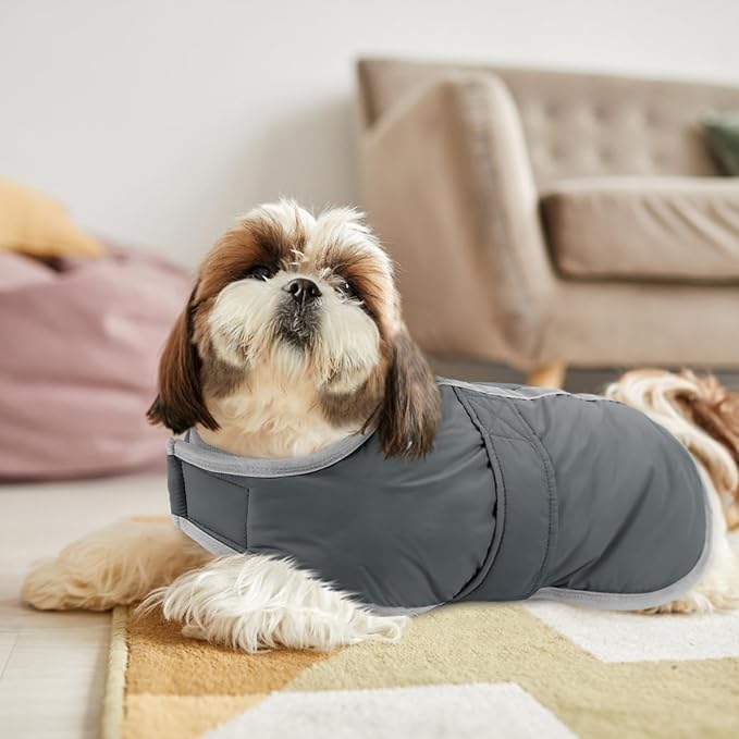 Queenmore Dog Winter Coat, Cold Weather Fleece Jacket for Dogs, Waterproof Reflective Reversible, for Small, Medium and Large Dogs (Grey, S)