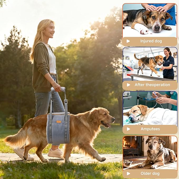 Dog Lift Harness for Small Dogs, Adjustable Dog Sling for Back Legs, Hip Support Harness to Help Lift Dogs Rear for Helps Senior, Injured, Disabled and After ACL Surgery Dogs - Small, Grey