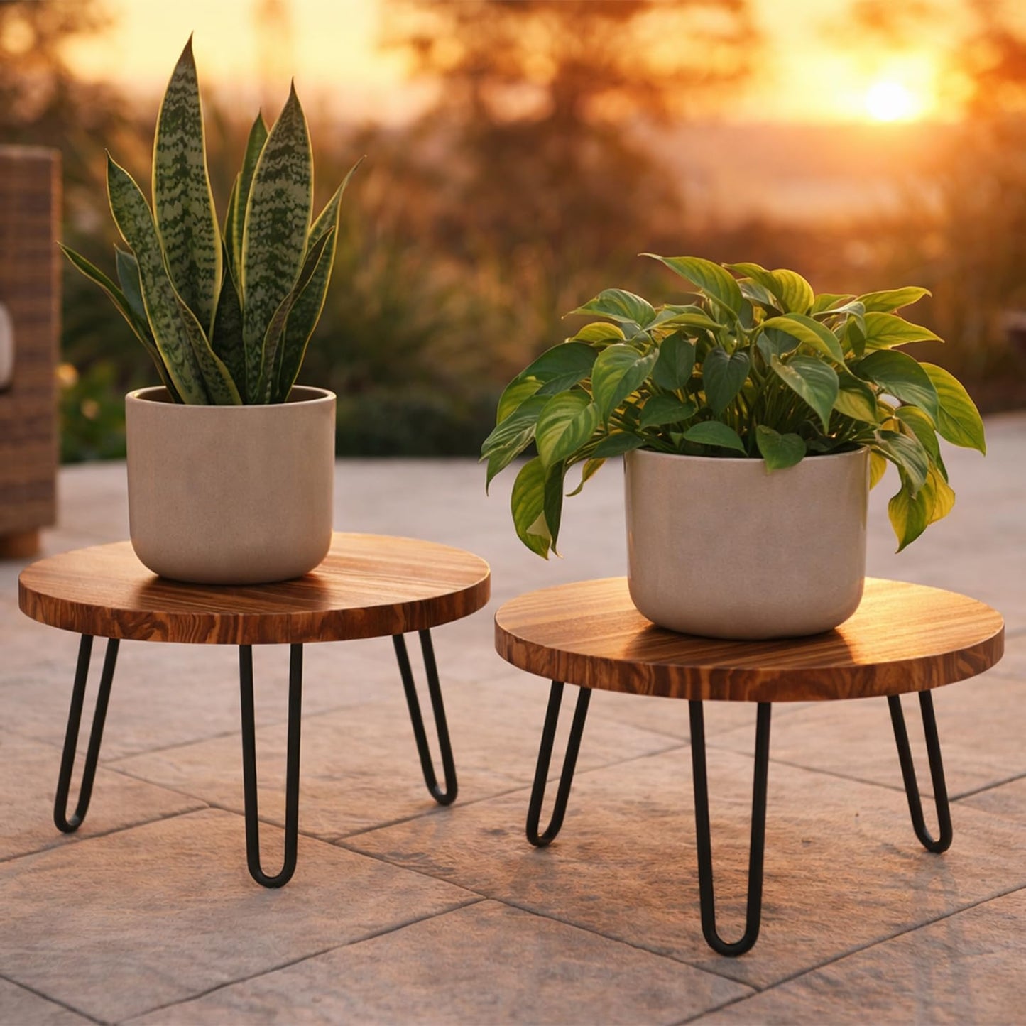 Wood Plant Stand 2 Pack Small Plant Stool Indoor 10 Inch Plant Riser Wooden Flower Stand Plant Holders Indoor Stand 6.3" Tall Planter Stands for Plants Corner Round Plant Table Outdoor Floor Plant Stand