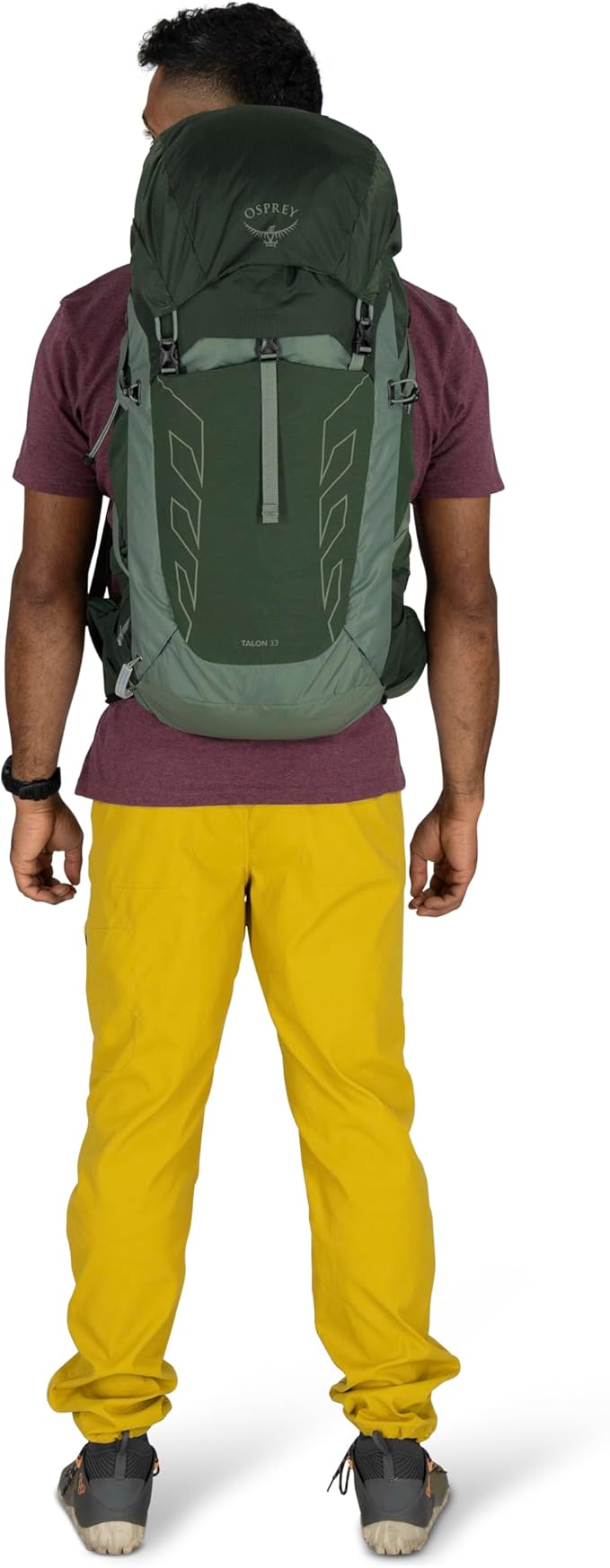 Osprey Talon 33L Men's Lightweight Hiking Backpack - Daypack for Travel & Camping, Green Canopy/Pine Leaf