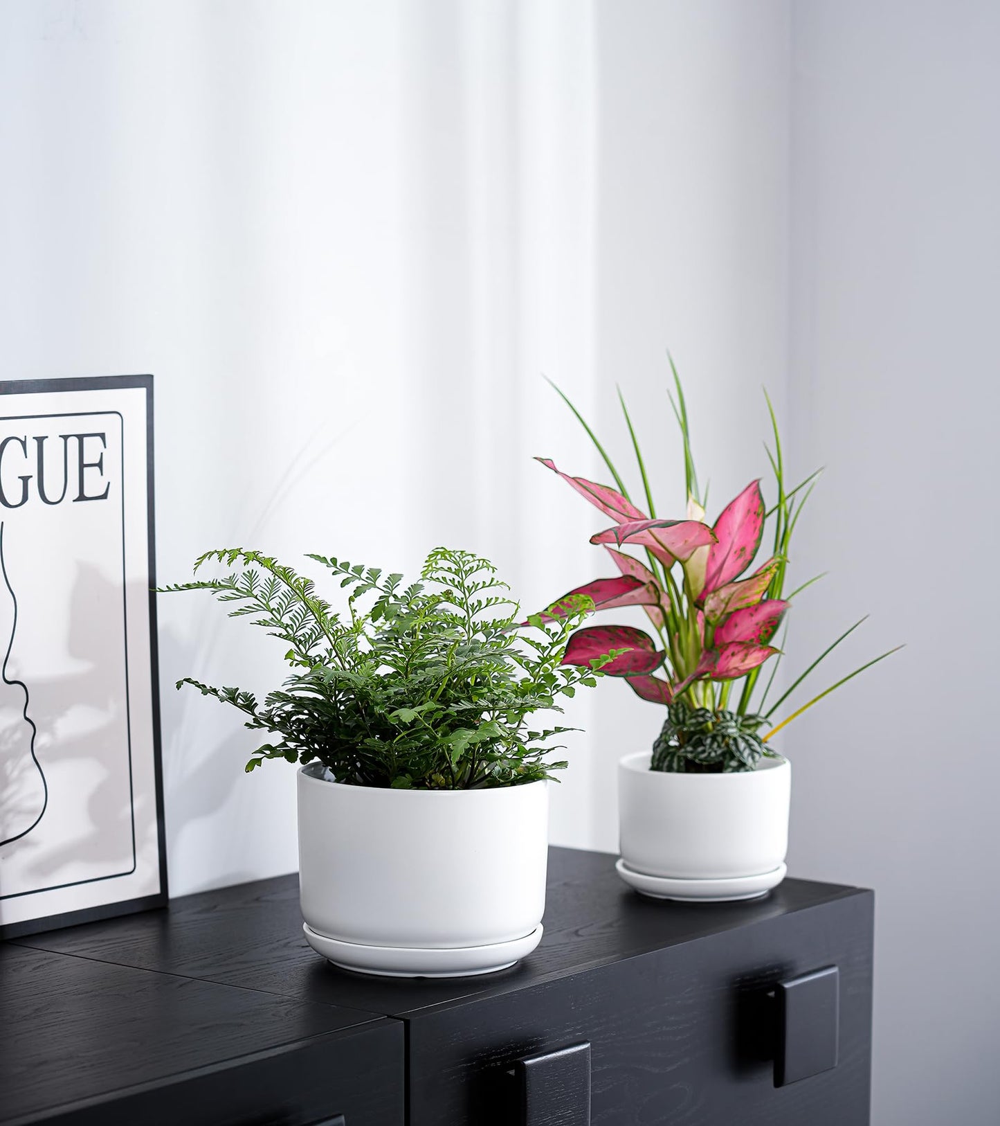 Ton Sin Ceramic Pots for Plants, 4.4+5.4+6.9 Inch Set of 3, Matte White Flower Pot & Plant Pot with Drainage Hole Saucer, Small Indoor Planters for Succulent Cactus, Home Decor Gift