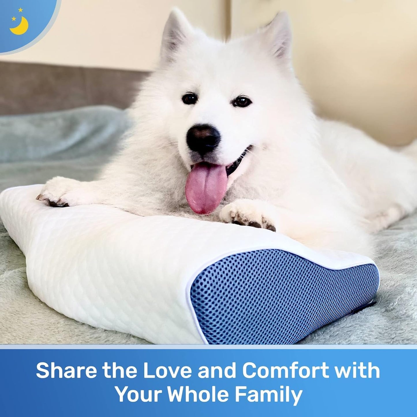 Derila Cervical Queen Size Pillow for Sleeping - Support Pillow for Side, Back, Stomach Sleepers - Contour Best Bed Pillows for Sleeping 23.6" x 13.4" x 4.3"