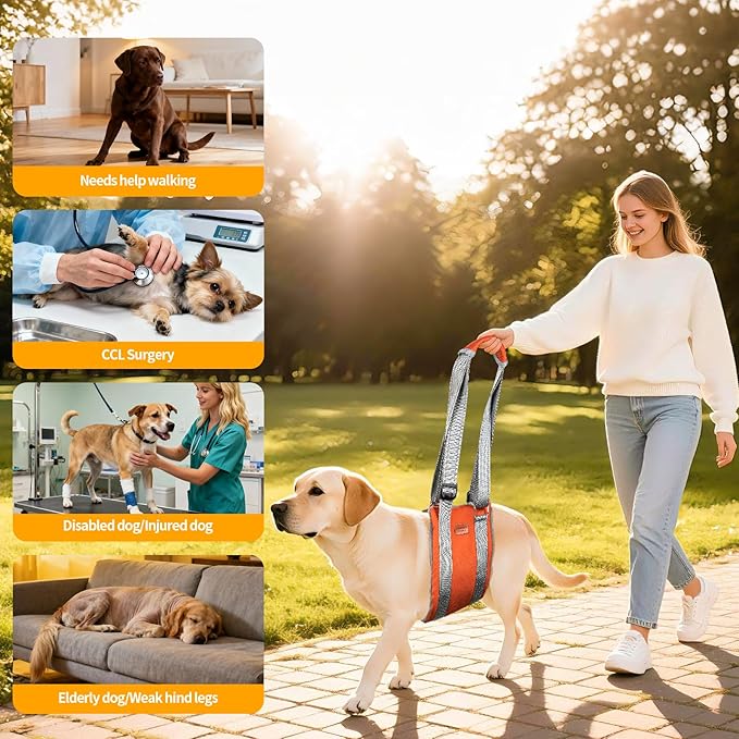 ExploreU Dog Sling for Back Legs Dog Lift Harness Magic Tape Hip Support Harness Rehab to Help Senior,Injured,Arthritis,Hip Dysplasia,Weak Rear Leg,Disabled,After ACL/CCL Surgery,TPLO Dogs (Brown, L)