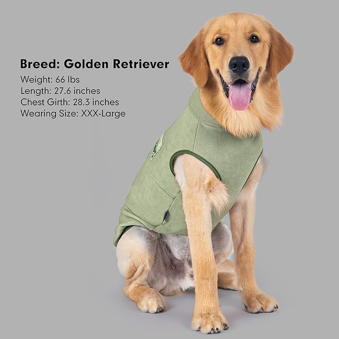 cyeollo Dog Sweaters for Small Dogs, Turtleneck Fleece Dog Sweater Stretchy Pullover Dogs Jacket Vest Lightweight Soft Warm Winter Pet Clothes, Green M
