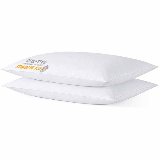 iFaon Thin Flat Slim Ultra Soft Bed Pillows Queen Size Set of 2 Pack for Sleeping, Bed Pillow for Stomach Back and Side Sleepers, Machine Washable 20x28 inches