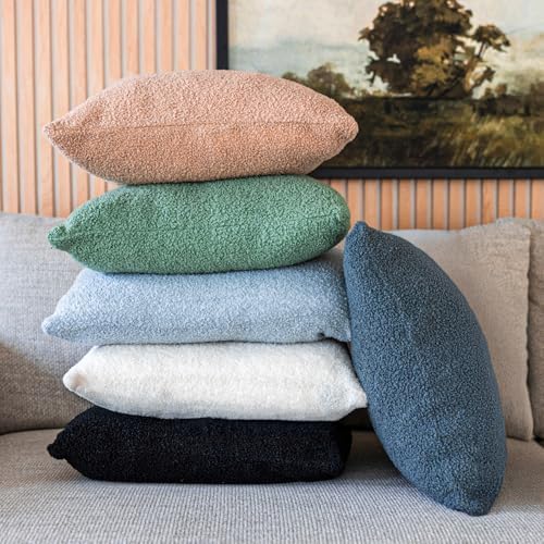 SAMIAH LUXE Black Teddy Boucle Pillow Covers 20x20 2pcs for Home Living Room Decor, Sherpa Textured Decorative Throw Pillow Covers for Boho Decor, Square Throw Cushion Euro Shams for Modern Farmhouse