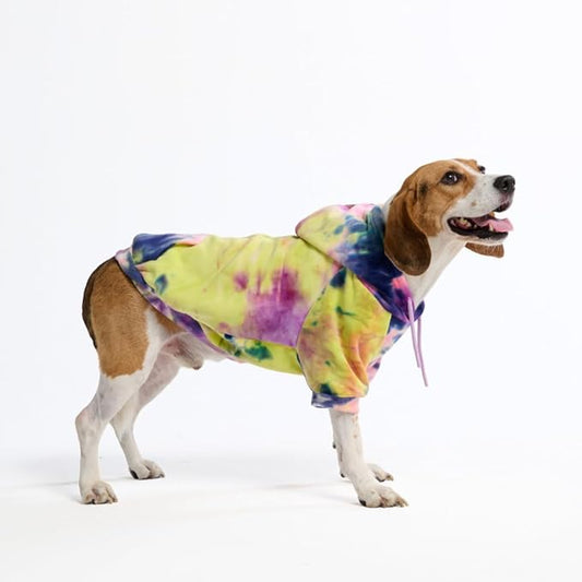 Spark Paws Dog Hoodie – Premium Dog Sweater for Small, Medium, and Large Dogs | Warm Outfits for French Bulldogs, Pitbull, Puppy, Winter Jacket Alternative - Berry Lemonade - 2XL