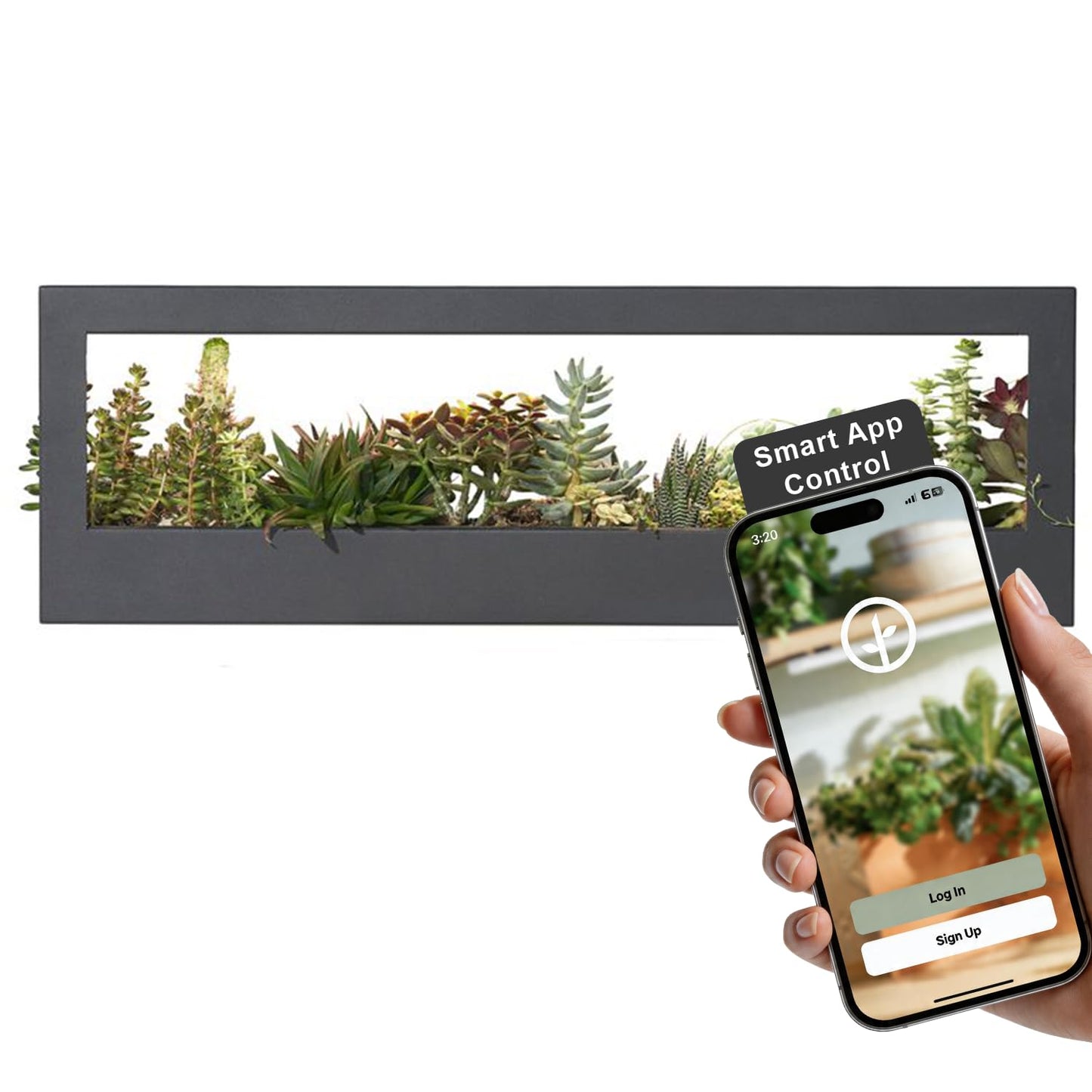 Modern Sprout Smart Landscape Growframe - Wall Mounted Plant Stand with LED Grow Light - Smart App Controlled - Powder-Coated Steel Frame for Indoor Plants - Perfect for Gifting and Decor - Black