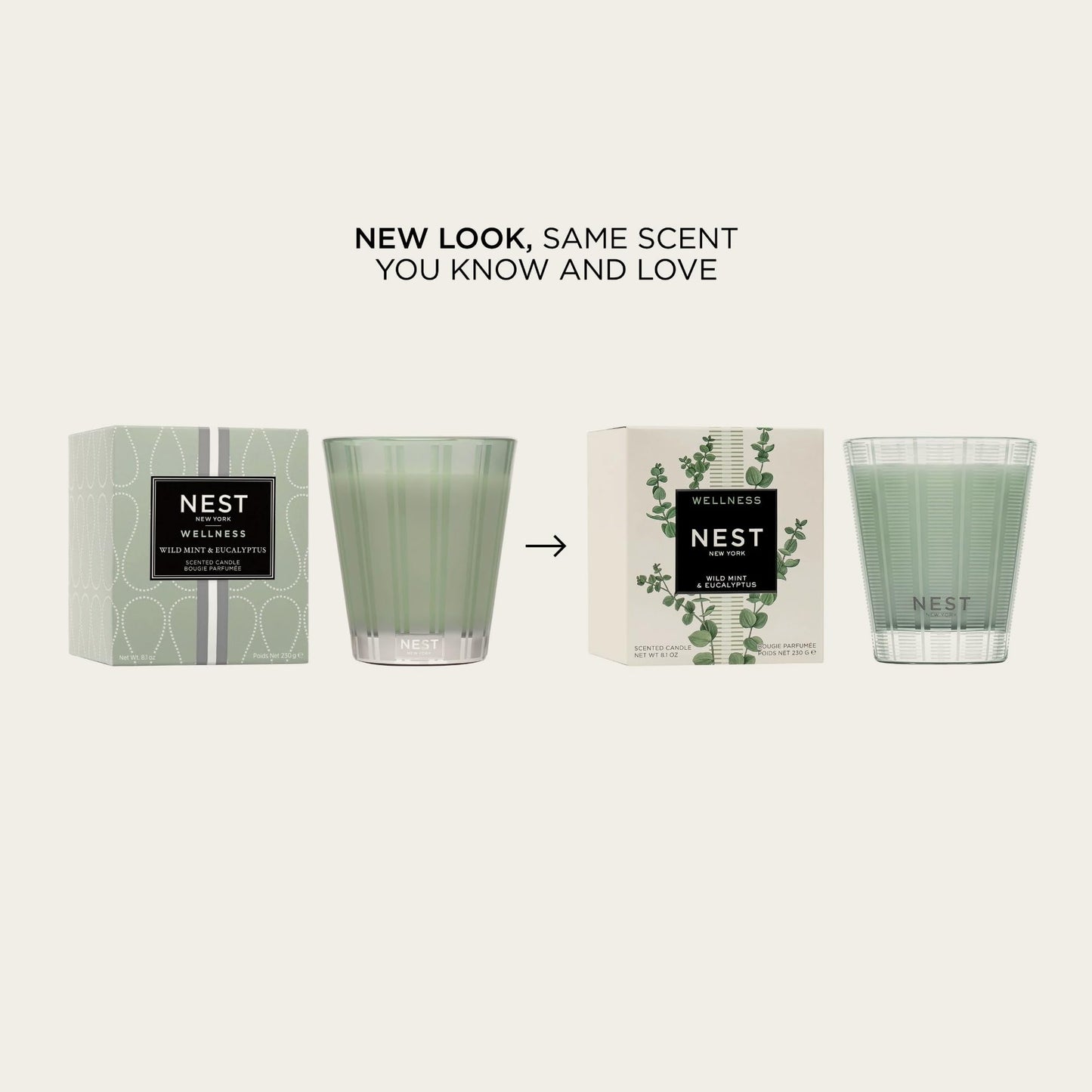 NEST New York Scented Classic Candle, Wild Mint & Eucalyptus - 8.1 oz - Up to 60-Hour Burn Time - Reusable Glass Vessel