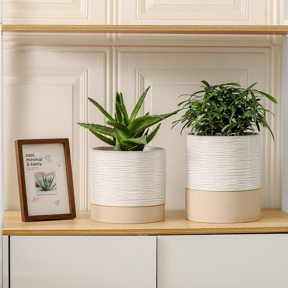 Nihow Ceramic Self Watering Plant Pot for Indoor Plants, 6 Inch,Cream White