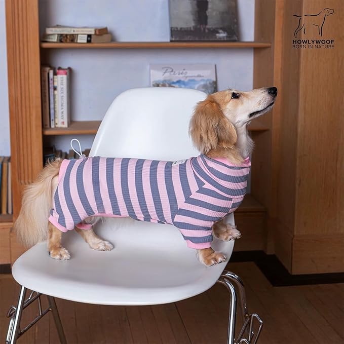 HowlyWoof Dachshund Dog Shirt, Thin Striped Base Layer Onesie for Wiener Dogs, Lightweight All-Season Wear, Soft & Comfy Fit for Doxie and Short-Leg Breeds (Blue&Yellow, Size 1 (7-11lbs))