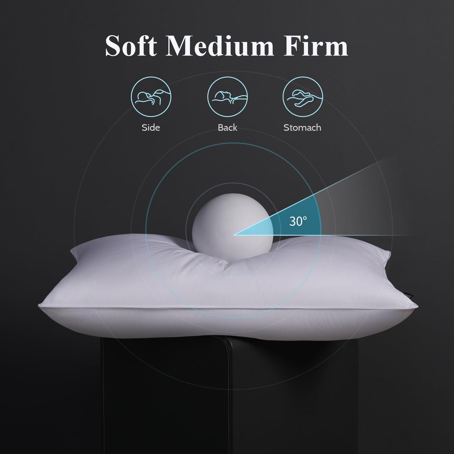 DOWNSTORIA Goose Feather Down Pillow Queen Size Set of 2, Hotel Collection Bed Pillows for Sleeping, 2 Pack, Down Surrounded Soft Medium Firm Pillows for Side Back Sleepers 20 x 30 in.