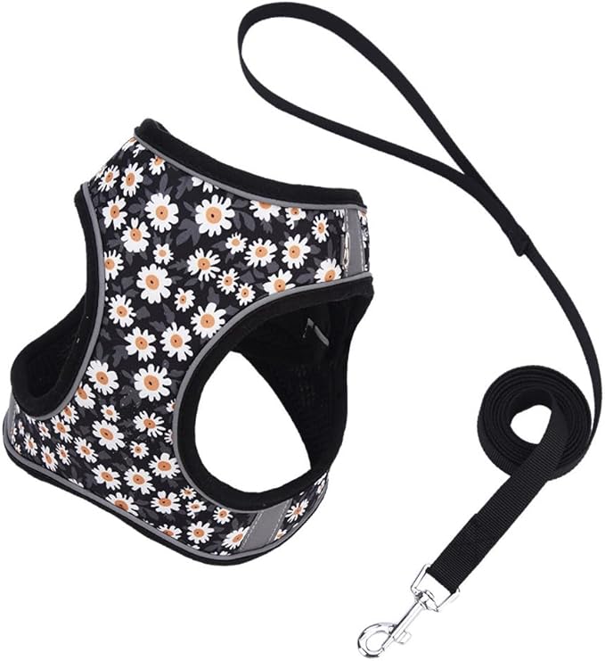 Step in Dog Harness and Leash Set, Flower Adjustable Easy Walk Puppy Harnesses, Soft Mesh No Pull Pet Vest Harness for Small Medium Dogs(Daisy, S)