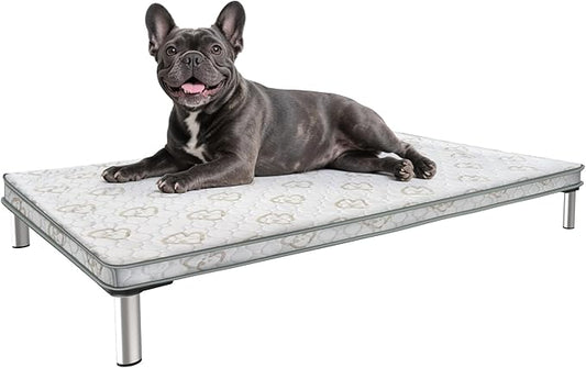 FXW TitanNest Chew-Proof Elevated Dog Bed, Raised Cot for Indoor/Outdoor/Camping Use, Durable & Waterproof Cooling Pet Bed with Exclusive Cover for Small Dogs, 36.0" L x 24.0" W x 4.5" H, Black