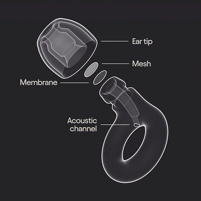 Tomorrowland x Loop Experience 2 Earplugs – Stylish Hearing Protection for Concerts & Festivals, Live Music, Nightlife & Musicians – 17dB Noise Reduction Ear Plugs (High-Fidelity) – Limited Edition