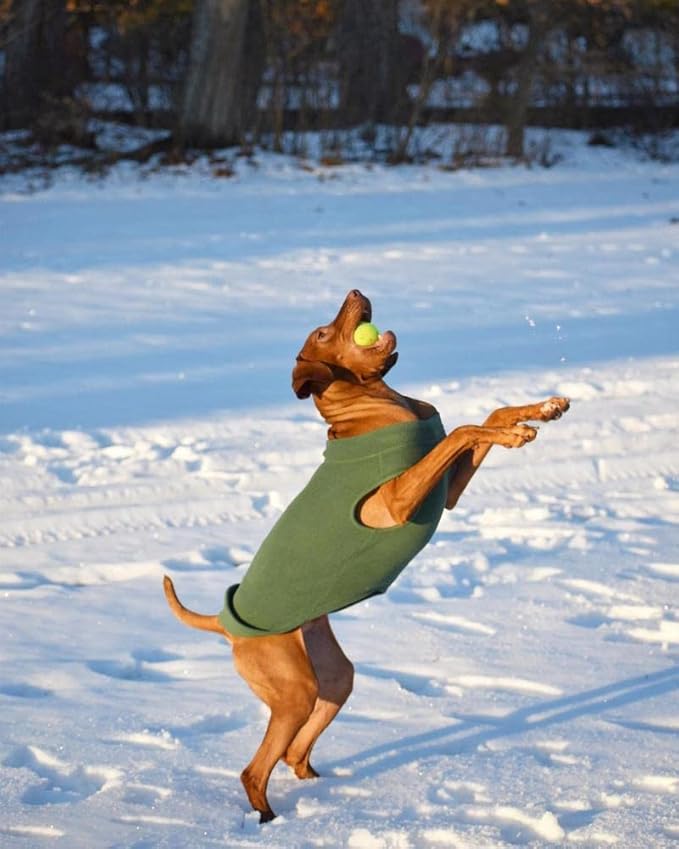 Gooby - Stretch Fleece Vest, Pullover Fleece Vest Jacket Sweater for Dogs, Forest Green, 5X-Large