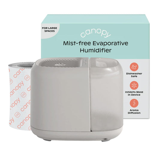 Canopy Large Room Humidifier, Moonstruck, Large Living Space, 36HR Run Time, 5.5L Tank - Includes Canopy Humidifier Plus, Diffusion Well, Unwind Aroma, Filter, Power Cord & Adapter