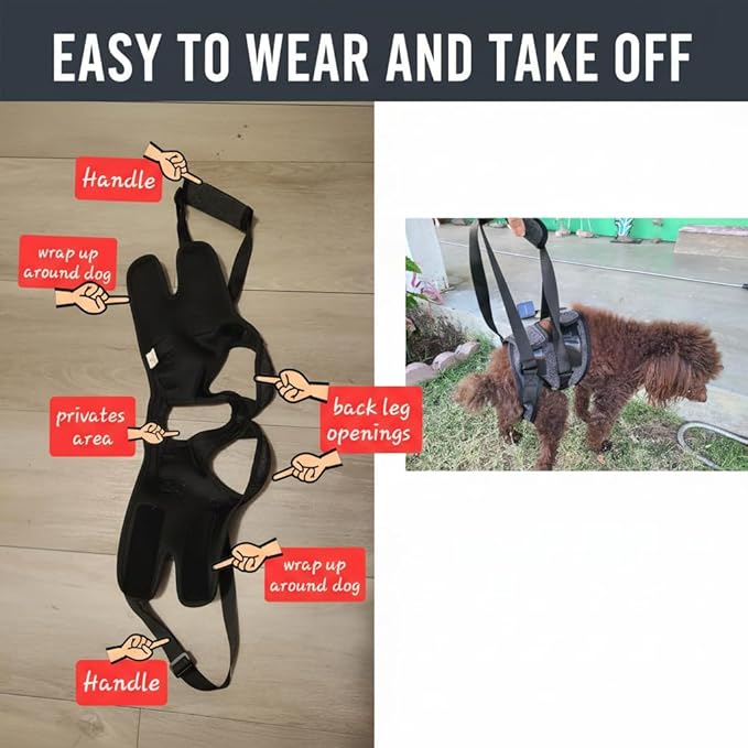 BARDIMIES Dog Lift Harness for Back Legs–Sturdy Dog Support Sling–Hip Sling Carrier for Large Medium Canine, Stair Helper for Aid Old Ligament Rehabilitation Pet, Grey,M
