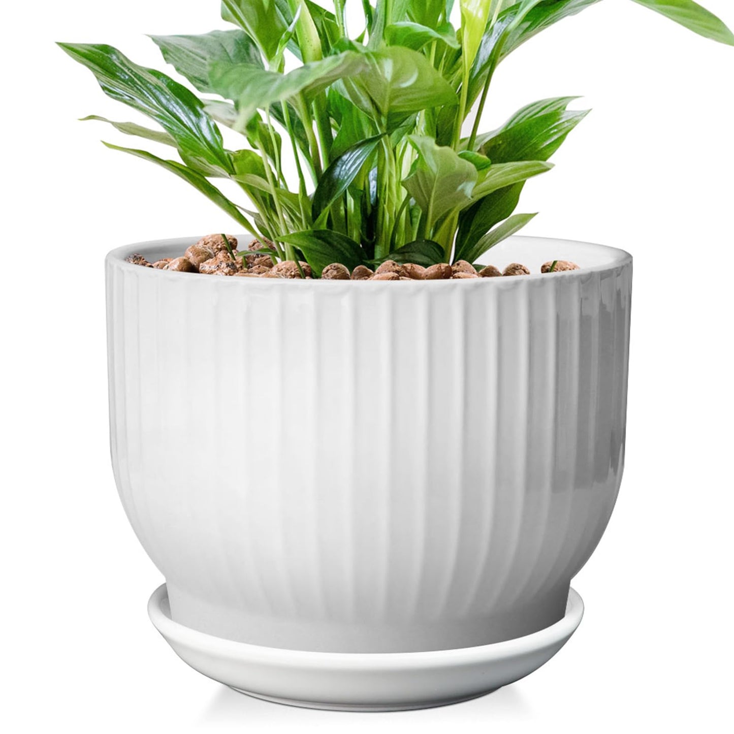 YUFDA 8 Inch Plant Pot,Ceramic Planter with Drainage and Saucer,Ceramic Pots for Plants,Indoor Plant pots,Ceramic Flower pots(Pure White, Plants NOT Included)
