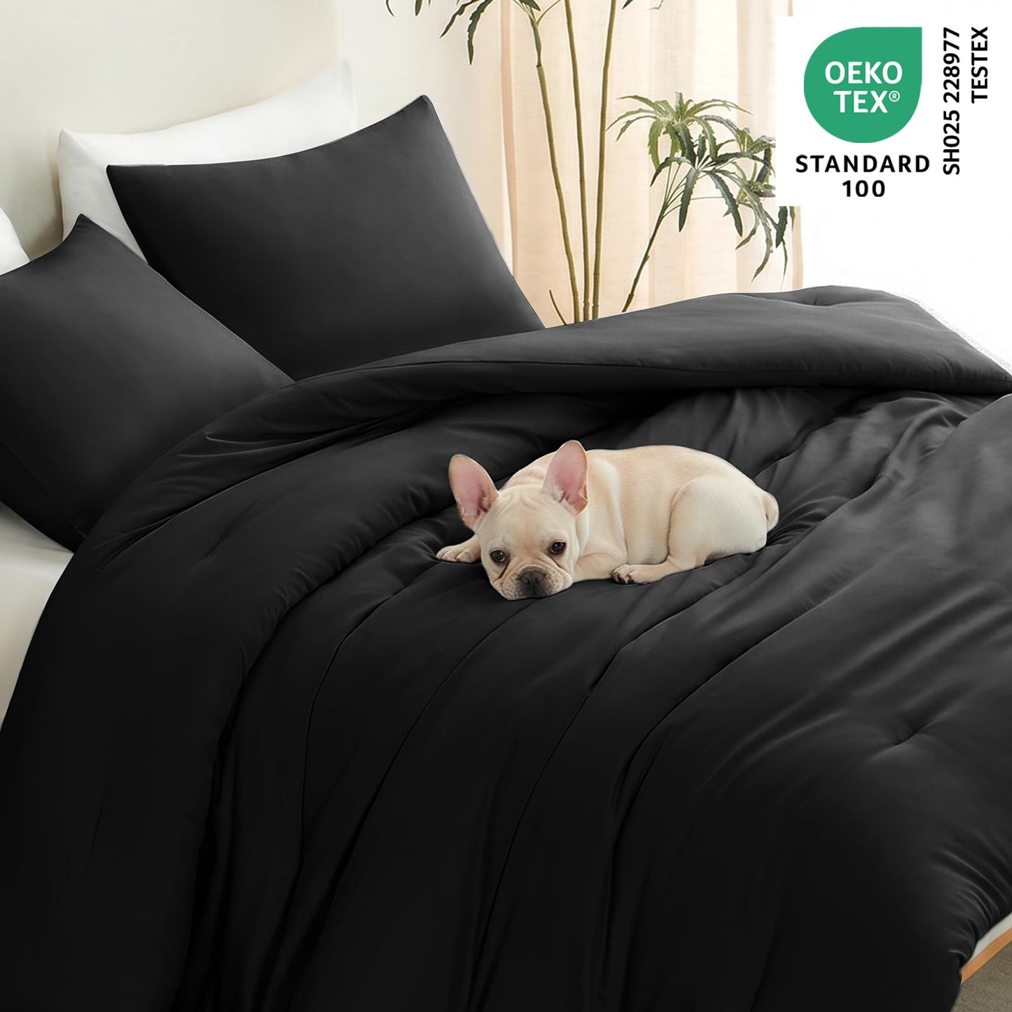 CozyLux Queen Comforter Set Black, 3 Pieces Lightweight Comforters Queen Size Quilted Bedding Sets, All Season Breathable Solid Down Alternative Comforter with 2 Pillowcases, Soft Bed Set for Home