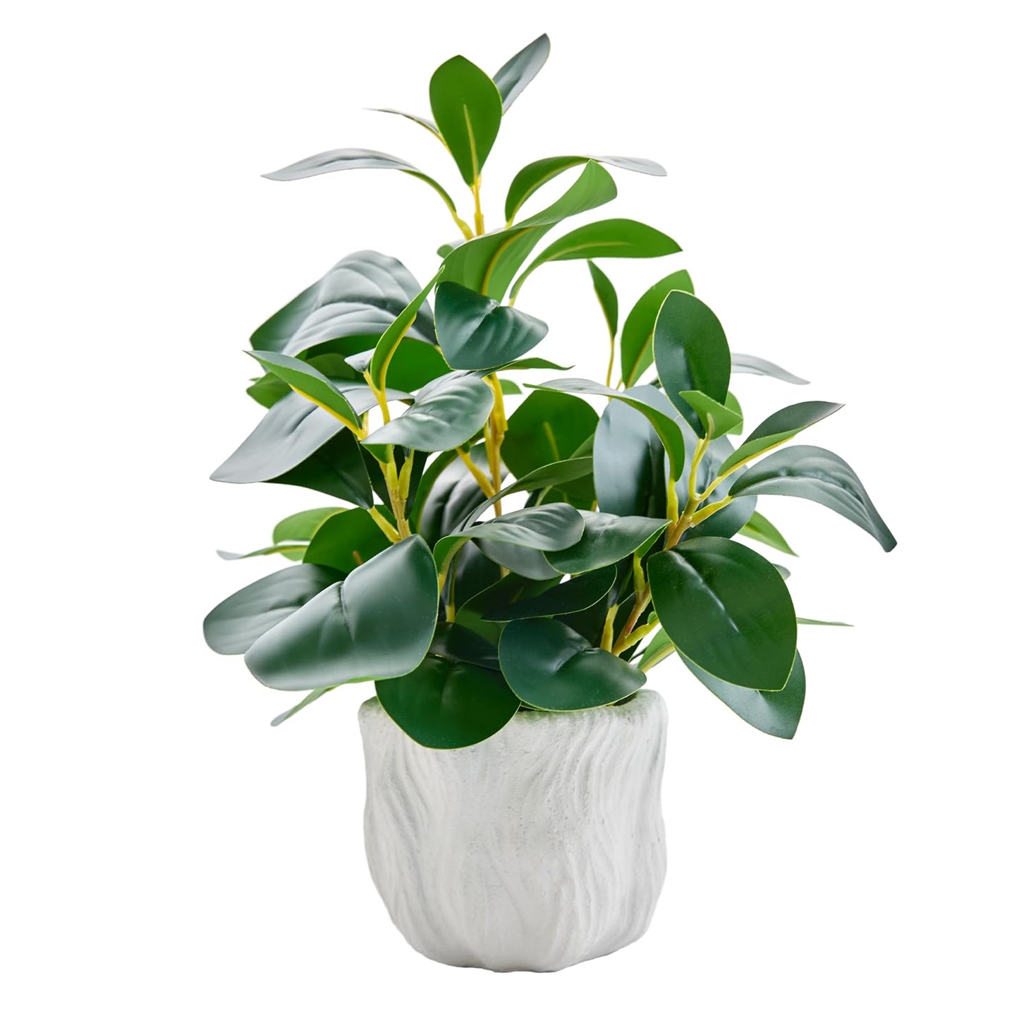 14" Artificial Potted Plant with Thick Leaves in White Textured Pot
