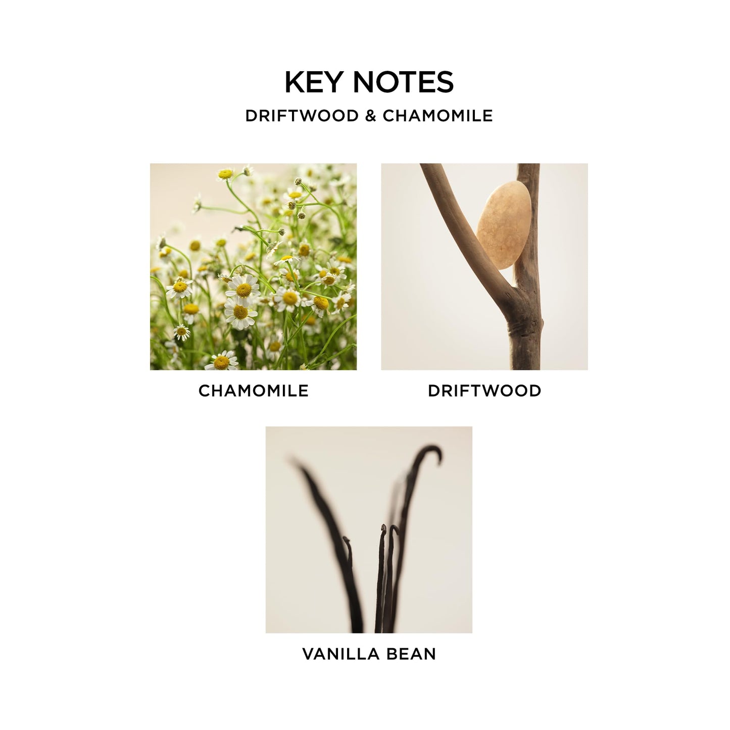 NEST New York Reed Diffuser, Driftwood & Chamomile - The Wellness Collection - 5.9 fl oz - Fragrance for Up to 90 Days - Reusable, Refillable Glass Holder - Includes 8 All-Natural Reed Sticks