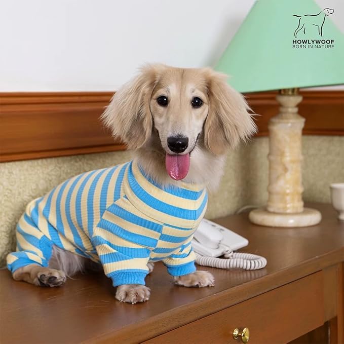 HowlyWoof Dachshund Dog Shirt, Thin Striped Base Layer Onesie for Wiener Dogs, Lightweight All-Season Wear, Soft & Comfy Fit for Doxie and Short-Leg Breeds (Blue&Yellow, Size 3(16-21 lbs))
