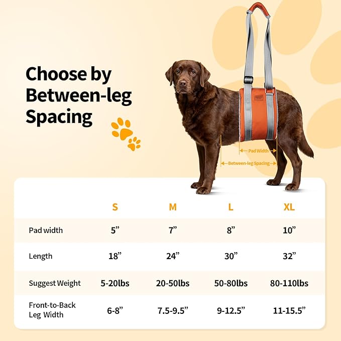 ExploreU Dog Sling for Back Legs Dog Lift Harness Magic Tape Hip Support Harness Rehab to Help Senior,Injured,Arthritis,Hip Dysplasia,Weak Rear Leg,Disabled,After ACL/CCL Surgery,TPLO Dogs (Brown, L)
