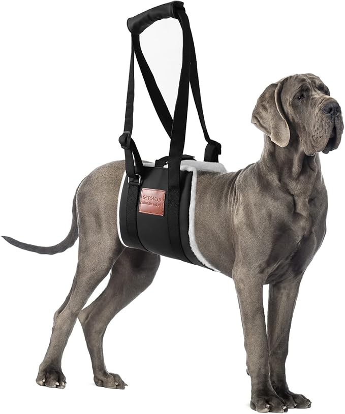 S-ETOVUS Dog Sling for Back Legs, Dog Lift Harness, Magic Tape Dog Sling for Large Dogs Hind Leg Support, Elderly Dog Lifter, Assist Canie Hip Arthritis K9 Cruciate Ligament Rehabilitation (Small)