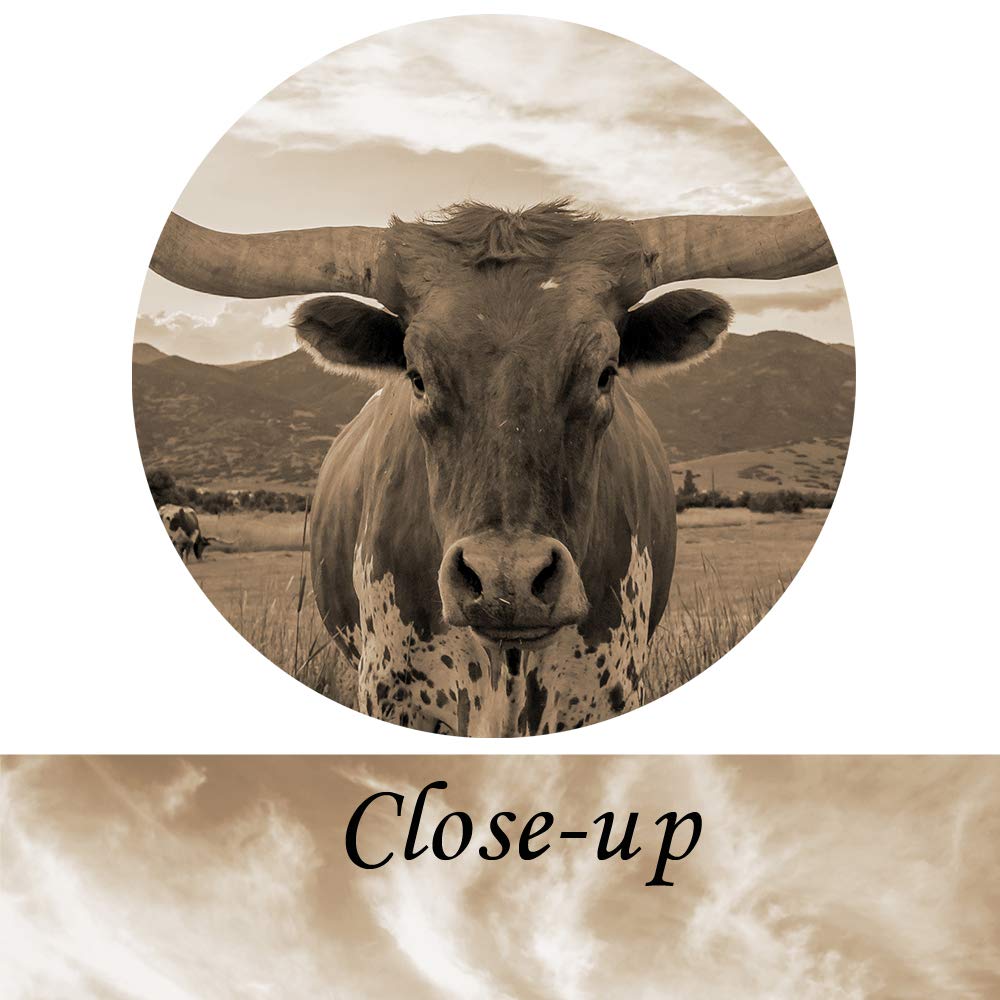 KREATIVE ARTS Sepia Texas Animal Canvas Wall Art Highland Cattle with Long Horns Picture Longhorn in Sunset Farm Painting for Home Decor Modern Living Room Decorations Ready to Hang 24x36in