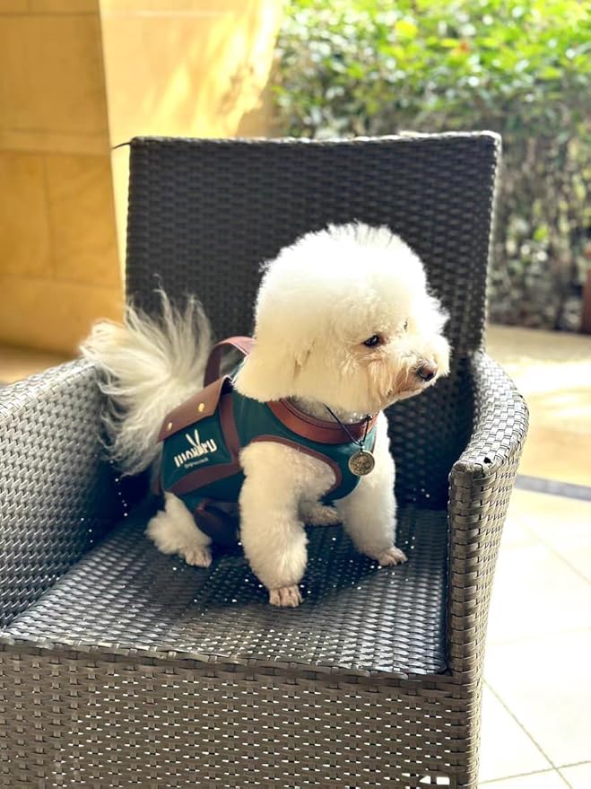 Wakytu Dog Lift Harness Dog Carrier Dog VES Harness Adjustable Dog Leash with Small Puppy Treat Bag（Green,XS）