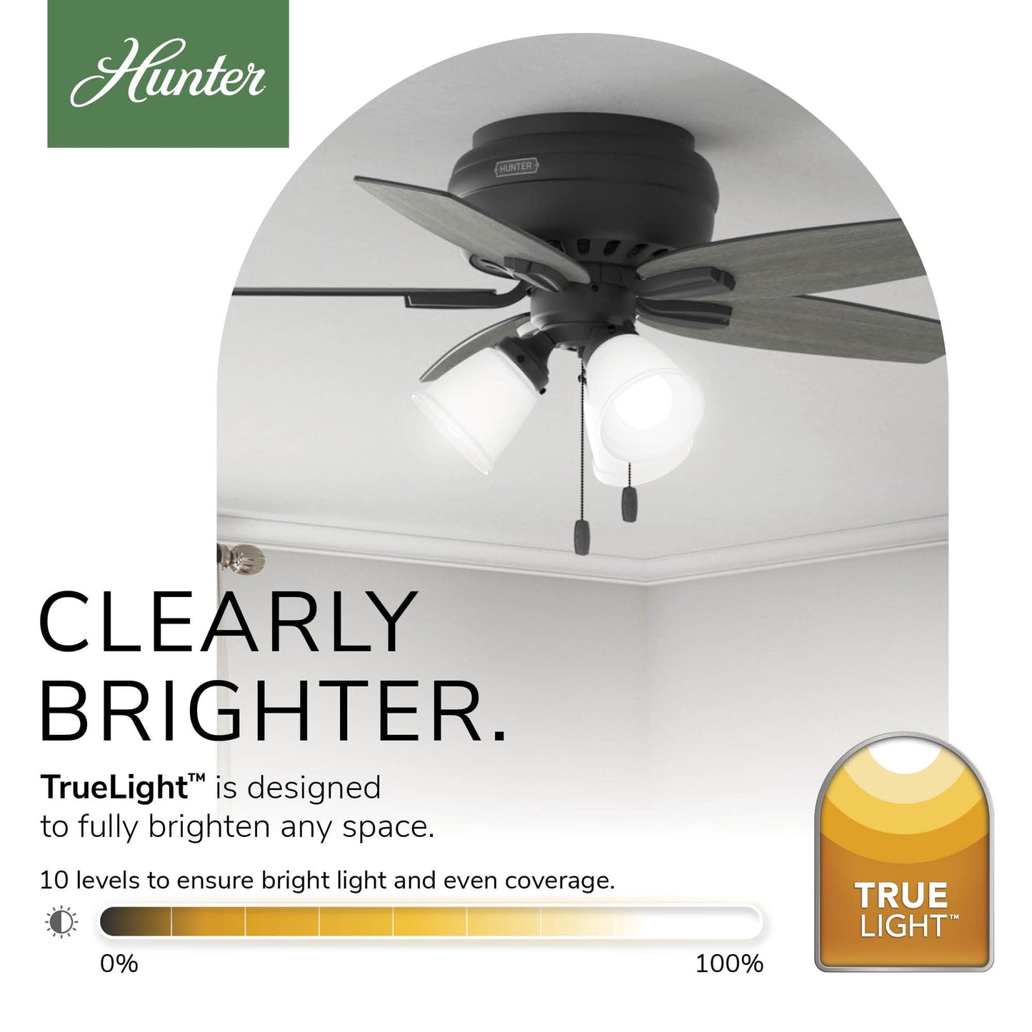Hunter 42 inch Indoor Ceiling Fan with LED Lights - Black Ceiling Fan with Pull Chain, For Bedroom or Living Room, Low Profile Flush Mount, No Remote, 5 Blades - Newsome 52393, Matte Black