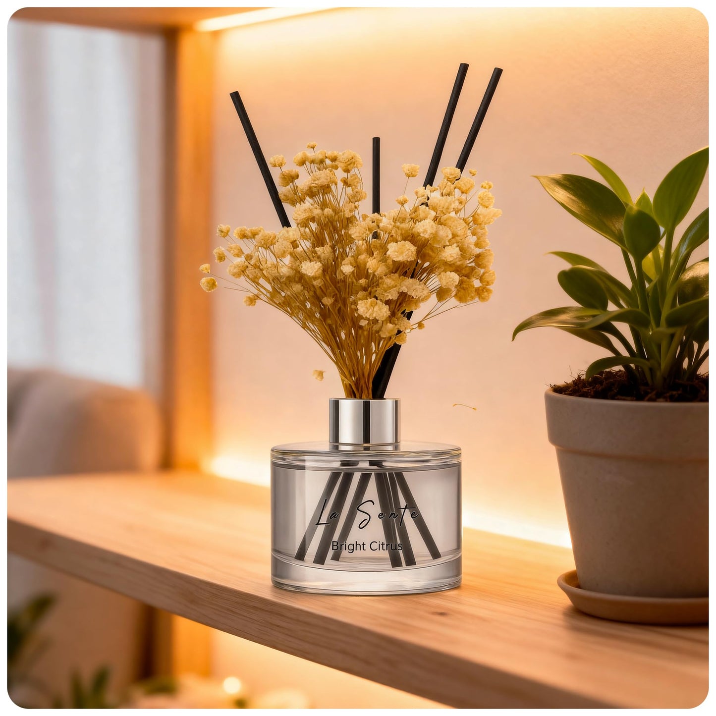 La Sente Bright Citrus Reed Diffuser Set, 6.7oz / 200 ml