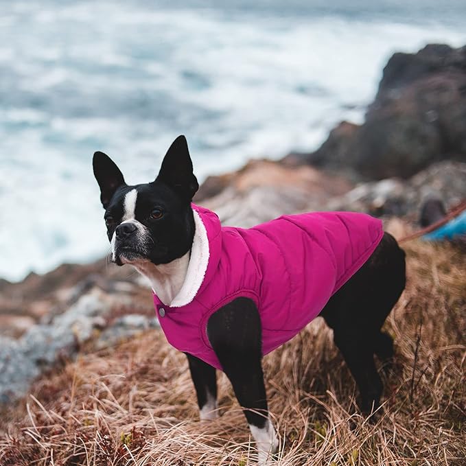 Windproof Waterproof Dog Coat - Fleece & Cotton Lined Warm Dog Jacket, Cold Weather Pet Apparel Clothes Vest - Sizes S to 3XL (Pink)
