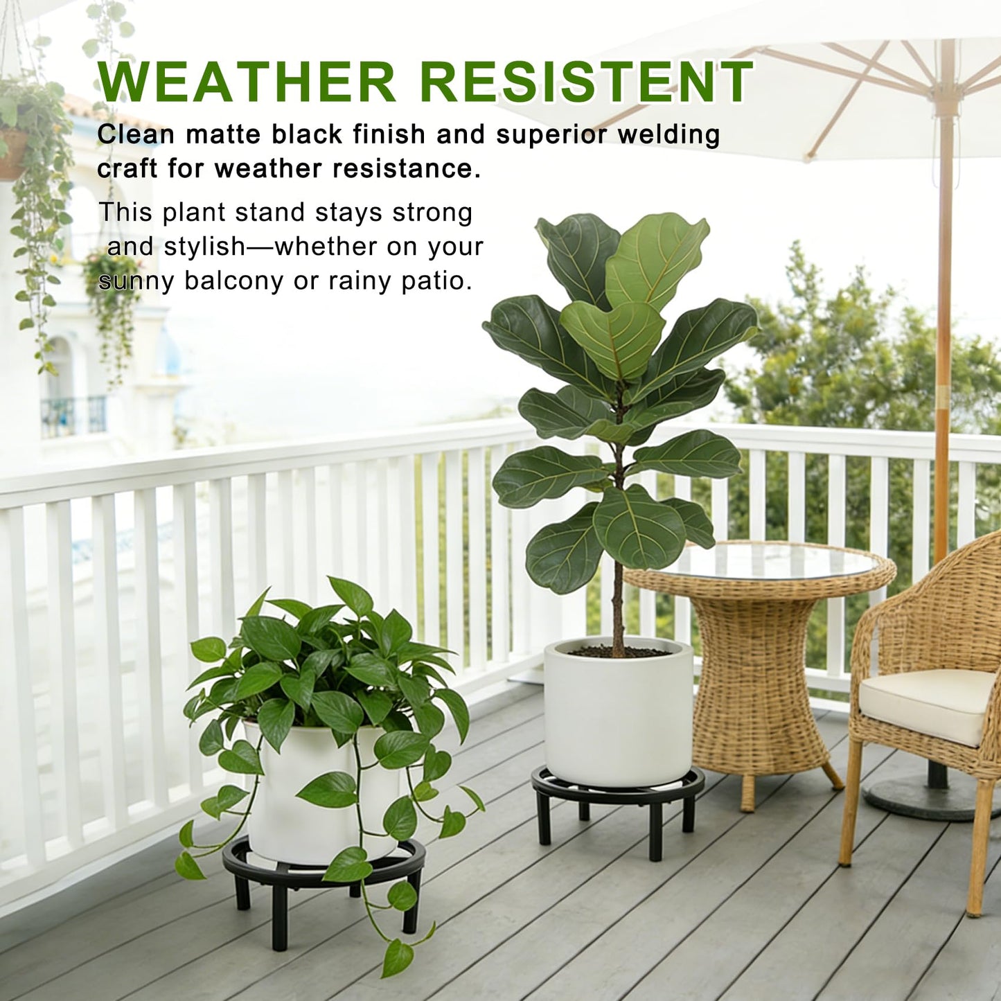 Phyluckny Metal Plant Stand Indoor Outdoor, Heavy Duty Plant Riser, Sturdy Flower Pot Holder Low Planter Stand, Single Flower Pot Stands, Modern Planter Stool for Indoor Plants (Black, 11.8"-2PCS)