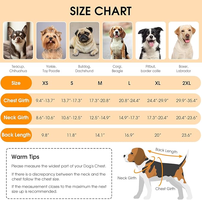 Queenmore Dog Winter Coat, Cold Weather Fleece Jacket for Dogs, Waterproof Reflective Reversible, for Small, Medium and Large Dogs (Green, S)