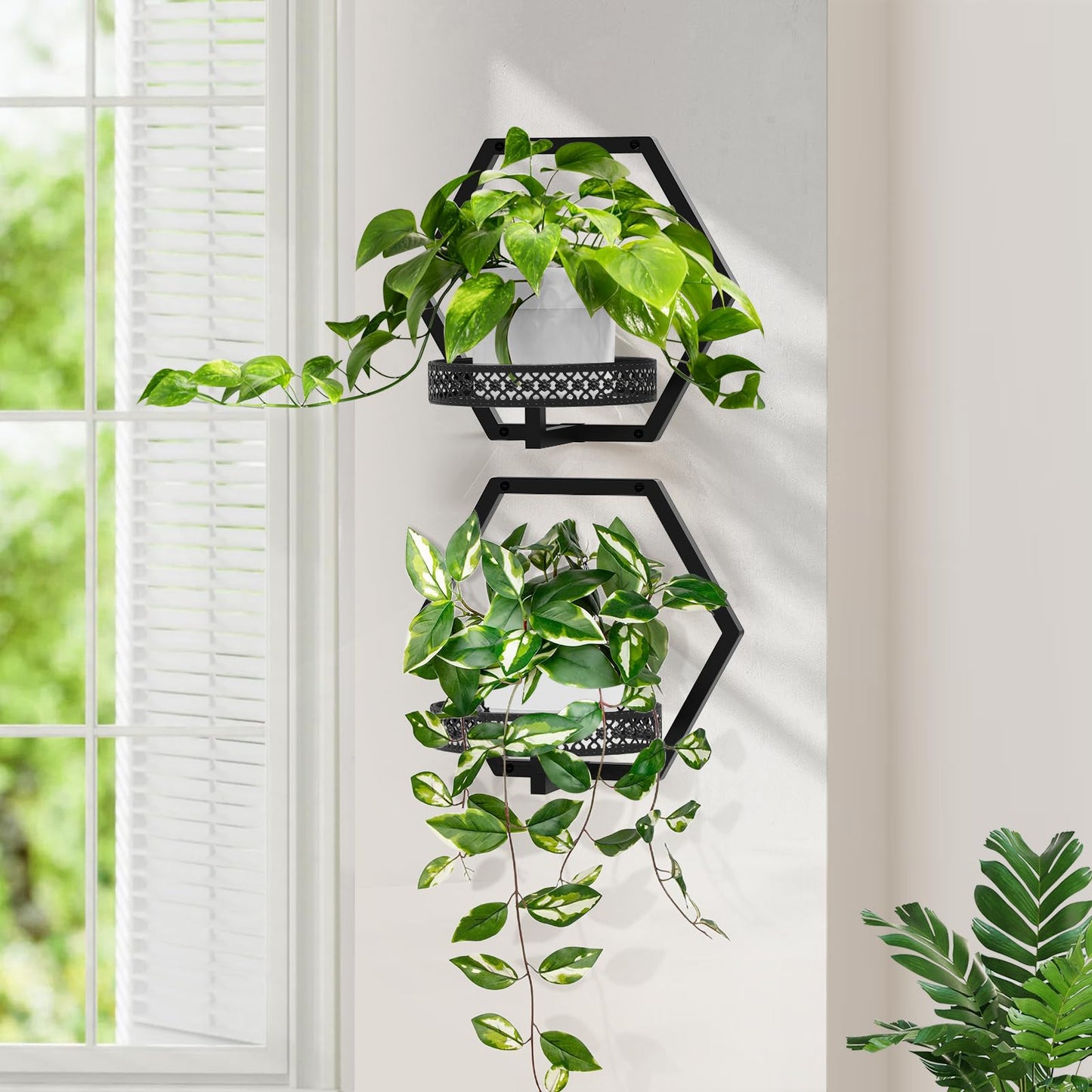 JOPBENG 3 Packs Wall Planters for Indoor Plants, 7.9inch Metal Wall Plant Holder Hanger Wall Decor, Wall-Mounted Hanging Planters Window Plant Shelves Outdoor (Black Openwork)