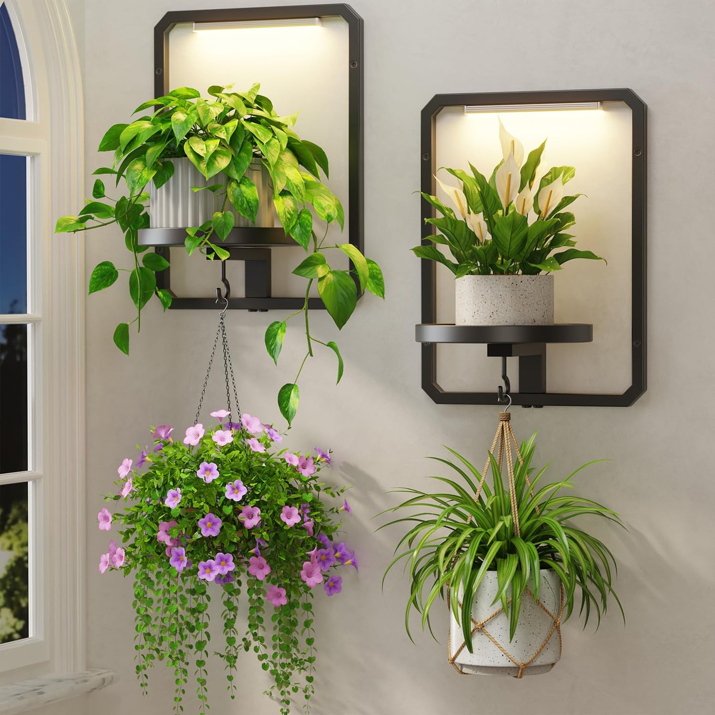 LASZOLA Plant Picture Frame Holder Wall Mount Indoor Window with 2 Grow Light, 2 Pack Modern Floating Flower Stand Shelf with Hooks, Metal Hanger Display Decor for Living Room, Black