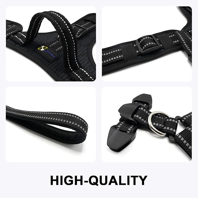 COODEO Professional Dog Sling for Hind Leg Support - Aid for Post-ACL/TPLO Surgery & Senior Dogs, Secure,Breathable & Machine-Washable with Reflective Edging for Safe Walks (Black, M)