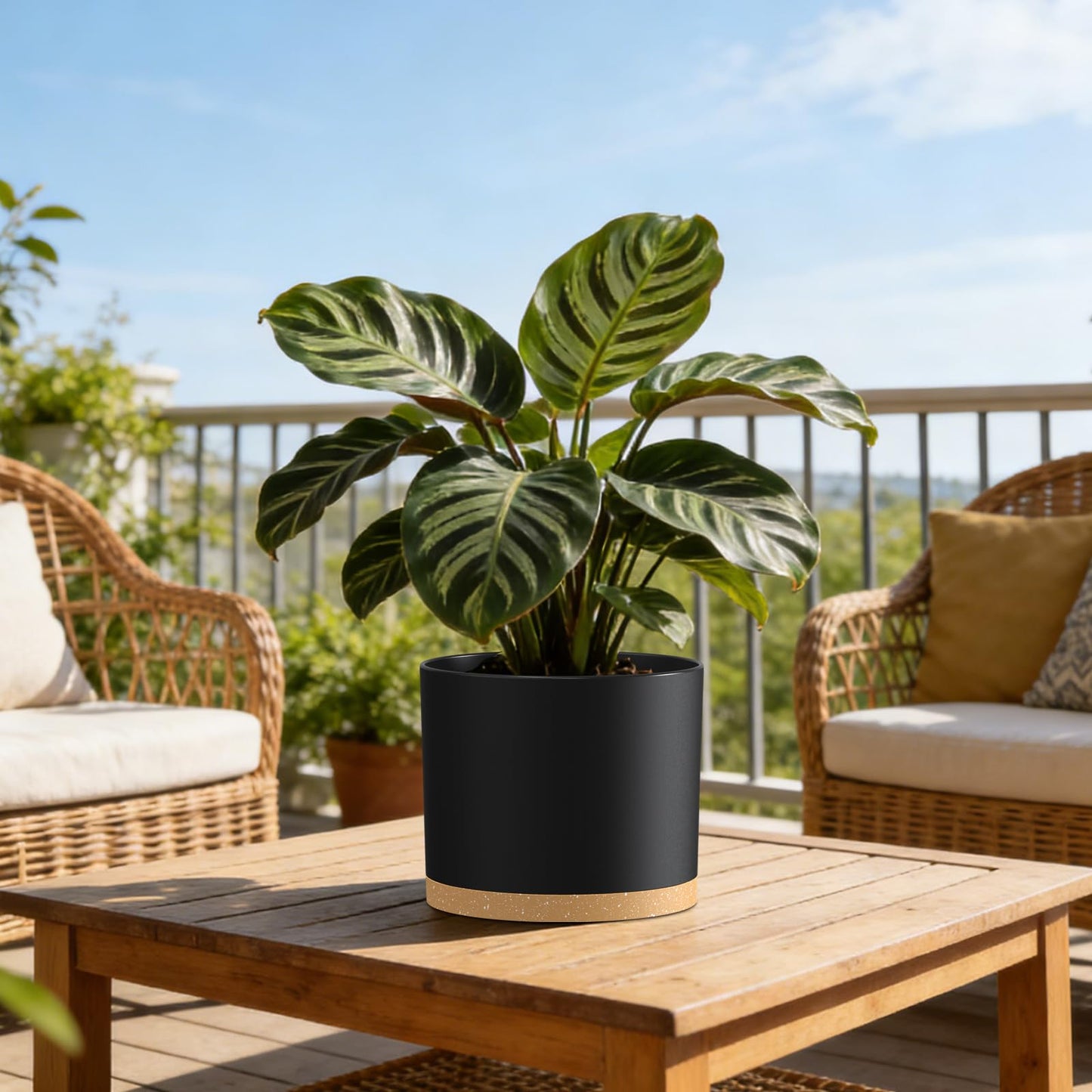 KUGAZ Plant Pots, 10/9/8 Inch 3 Pack Cylindrical Flower Pots with Drainage Holes and Saucers, Plastic Planters for Outdoor Indoor Plants,Black Brown
