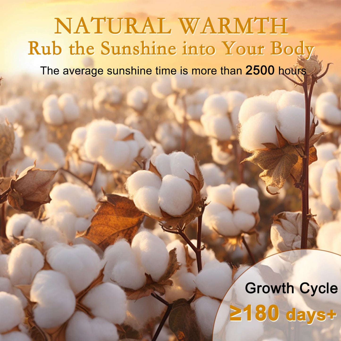 YOUR MOON Luxurious All Season Wool Comforter Queen Size, 100% Natural Australian Wool Filling, Hypoallergenic Comforter Duvet Insert, Noiseless Cotton Shell (White)
