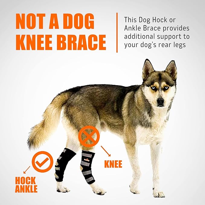 NeoAlly® - Rear Leg Hock Brace, Dog Leg Brace for Rear Leg, Hock & Ankle Support for Large Dogs, Dog Brace for Torn Acl and Ccl, Long Version, Extra Large, 1 Pair
