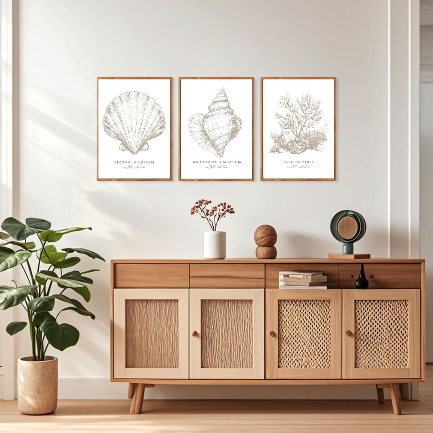 3 Pcs Beige White Set Seashell and Coral Wall Art Ocean Shell Canvas Wall Decor Pictures Neutral Beach Canvas Posters Prints for Living Room Bedroom Corridor Bathroom 12X16 in Unframed