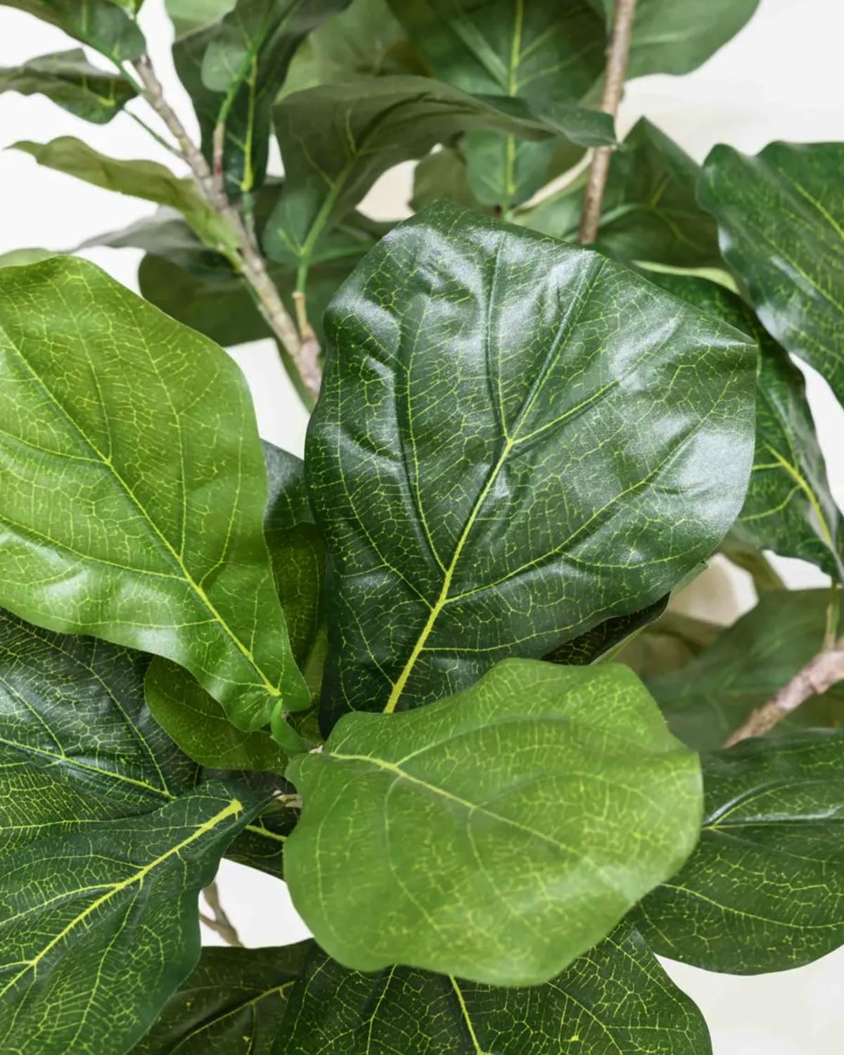 LuceAlberi Artificial Fiddle Leaf Fig Tree 6FT - Large Fake Trees with White Planter, Tall Faux Ficus Lyrata Tree Floor Plants for Indoor Home Decor Office Living Room Housewarming Gift, 1Pack