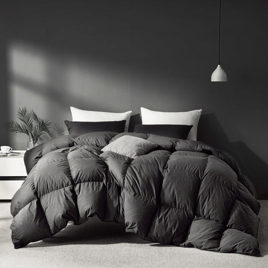 Saisier Grey Goose Feather Down Comforter Queen Size, Premium All Season Duvet Insert, 750+ Fill Power 1200TC Cotton Blend Fabric Hotel Style Comforter, 42 Oz Lightweight (90x90, Dark Grey)