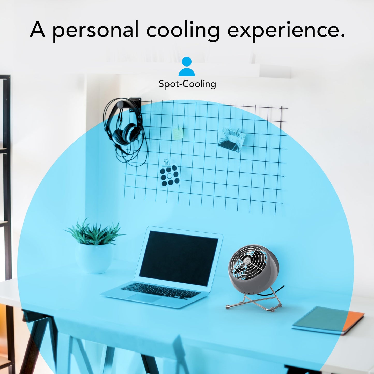 Vornado VFAN™ Mini Modern Personal Desk Fan with 2-Speed Control, Adjustable Tilt, Quiet Metal Air Circulator for Office, Bedroom, Dorm, Compact Desktop Cooling Device, Storm Gray