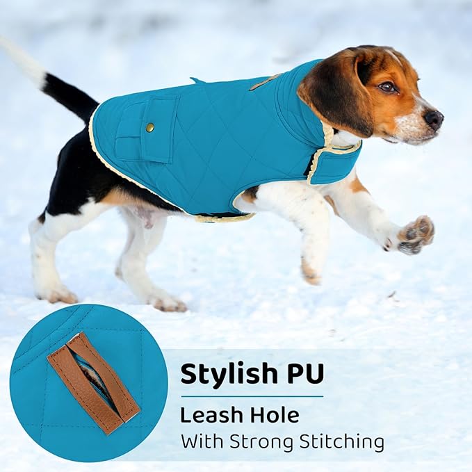 Queenmore Dog Winter Coat Warm Puffer Jacket Waterproof Plush Lining Thermal Cold Weather Vest for Small Medium Large Dogs, Windproof Easy On Pet Jacket Blue XL