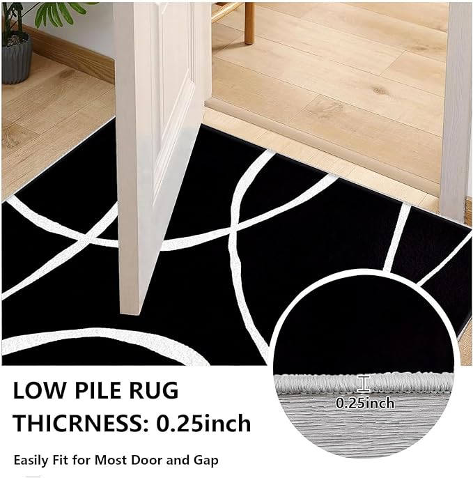 Black and White Rugs, Abstract Rug, Modern Minimalist Rug, Curved Line Design Carpet, Black and White Abstract Rugs for Washable Non Slip Living Room Home Decor 4x6