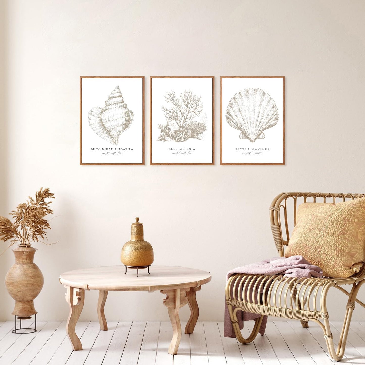 3 Pcs Beige White Set Seashell and Coral Wall Art Ocean Shell Canvas Wall Decor Pictures Neutral Beach Canvas Posters Prints for Living Room Bedroom Corridor Bathroom 12X16 in Unframed