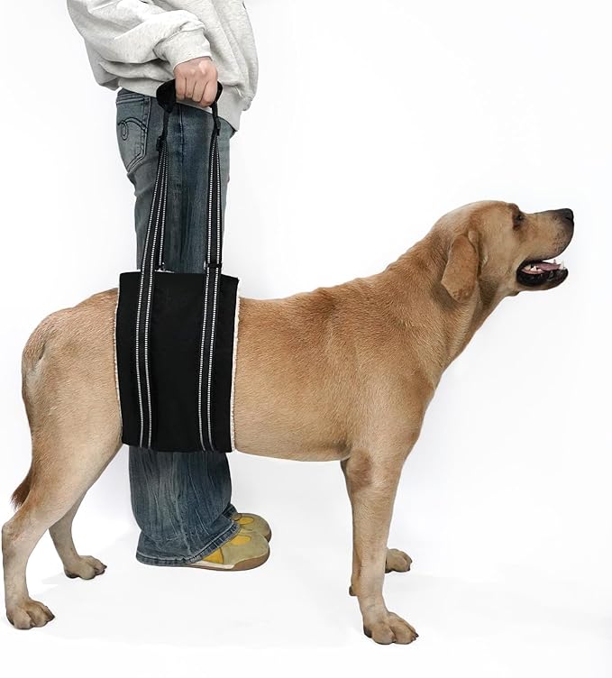 COODEO Adjustable Comfortable Dog Sling with Handle Hind Leg Support Soft Lift Support and Rehab Harness for Weak Rear Legs,Helps Senior, Injured, Disabled and After ACL Surgery Dogs Large (Black, XL)